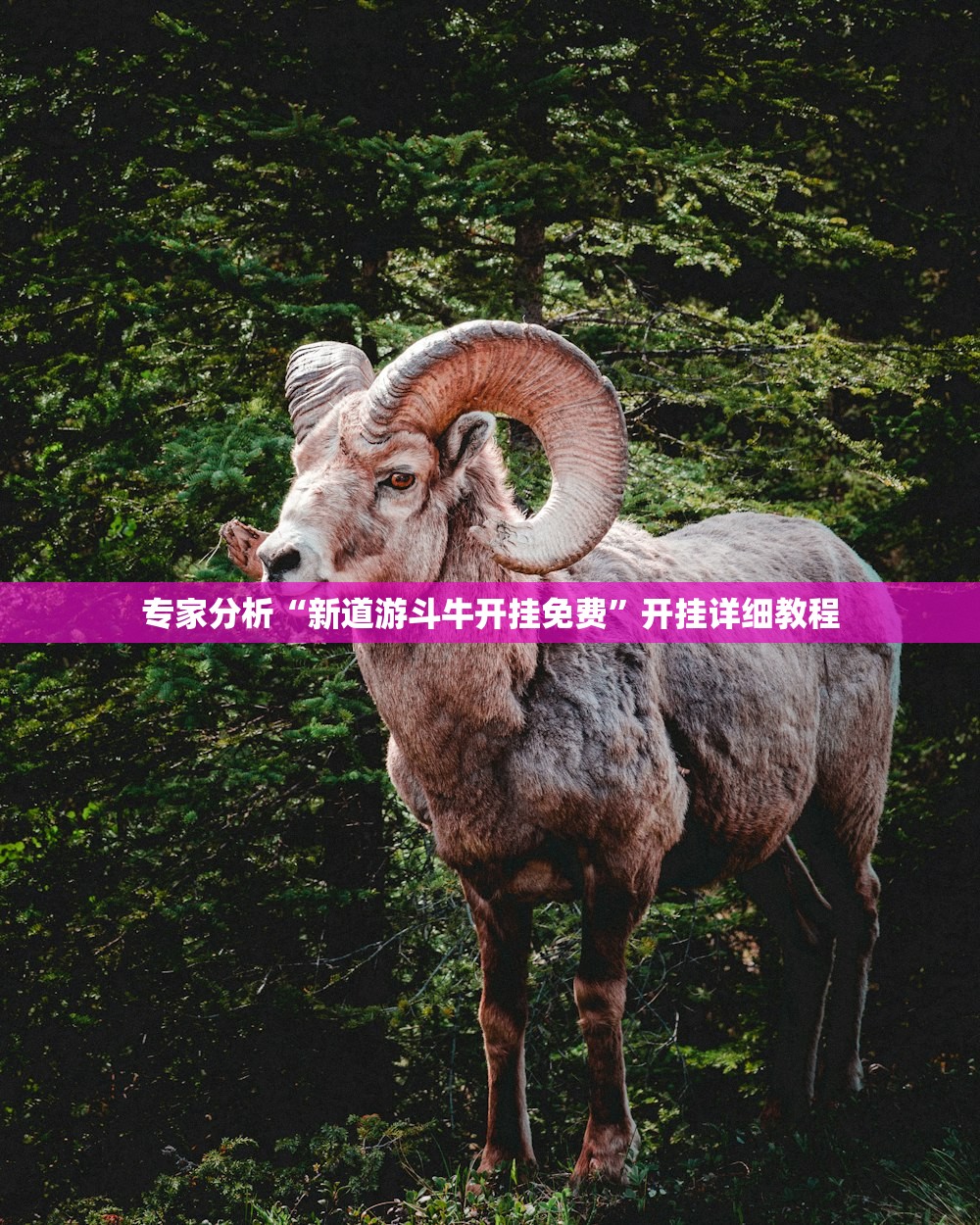 专家分析“新道游斗牛开挂免费”开挂详细教程