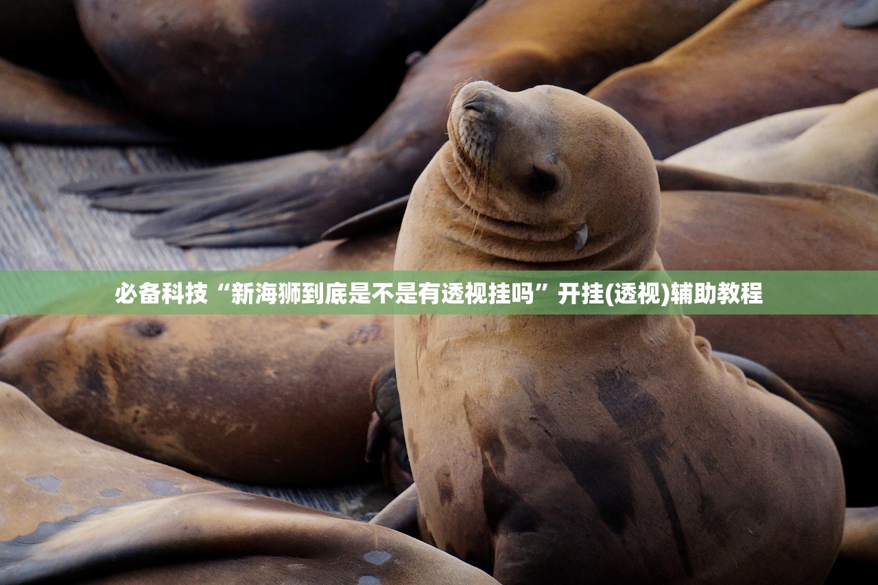 必备科技“新海狮到底是不是有透视挂吗	”开挂(透视)辅助教程
