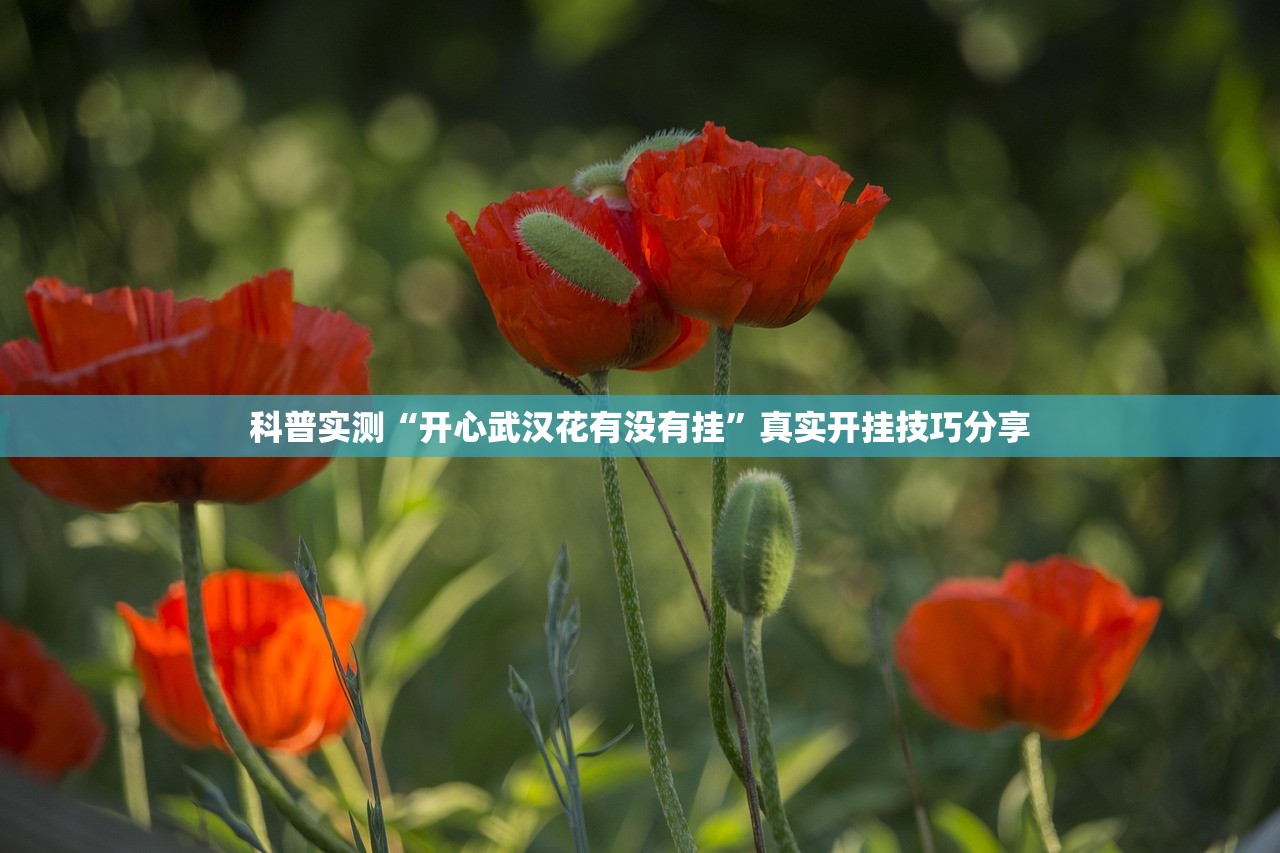 科普实测“开心武汉花有没有挂”真实开挂技巧分享