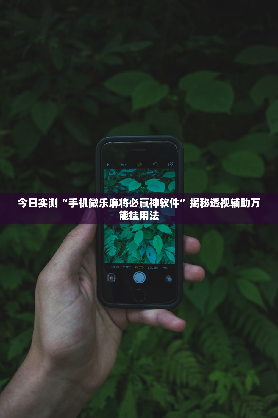 今日实测“手机微乐麻将必赢神软件”揭秘透视辅助万能挂用法