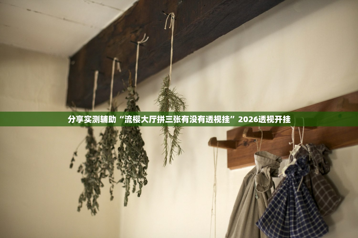 分享实测辅助“流樱大厅拼三张有没有透视挂”2026透视开挂