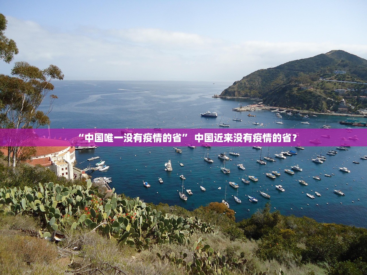 “中国唯一没有疫情的省	” 中国近来没有疫情的省？