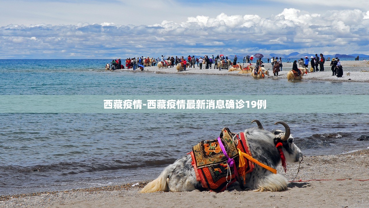 西藏疫情-西藏疫情最新消息确诊19例