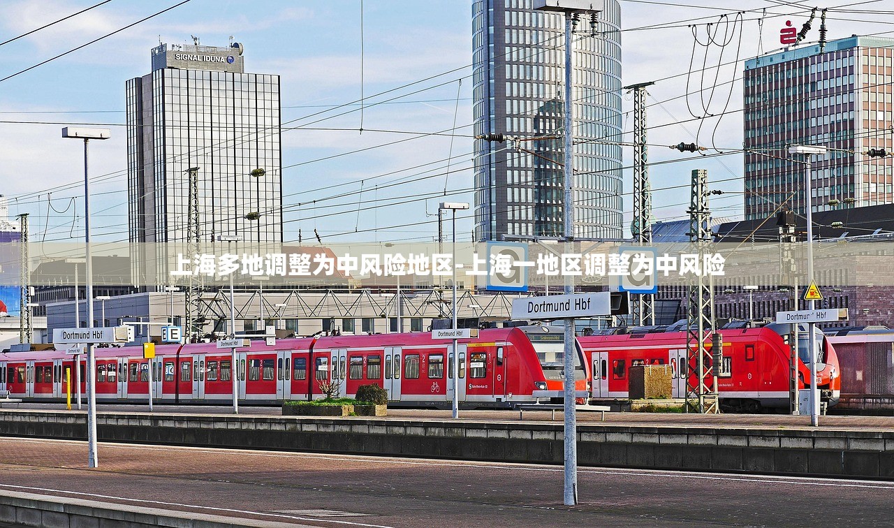 上海多地调整为中风险地区-上海一地区调整为中风险 上海多地调整为中风险地区-上海一地区调整为中风险