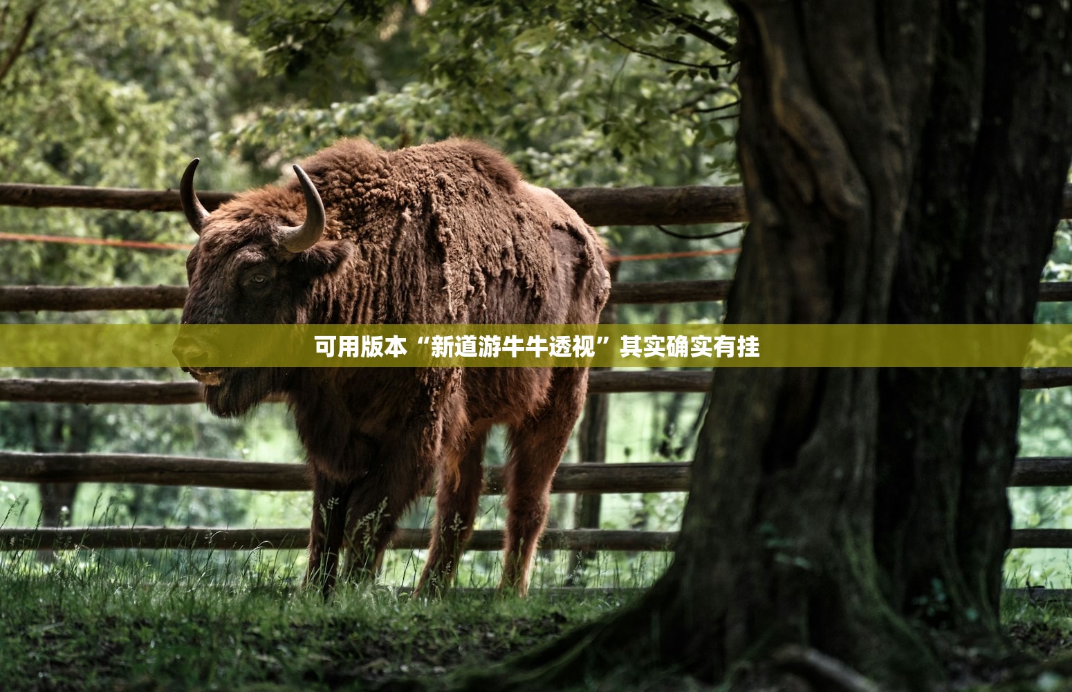 可用版本“新道游牛牛透视	”其实确实有挂