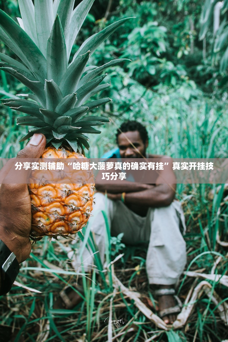 分享实测辅助“哈糖大菠萝真的确实有挂	”真实开挂技巧分享