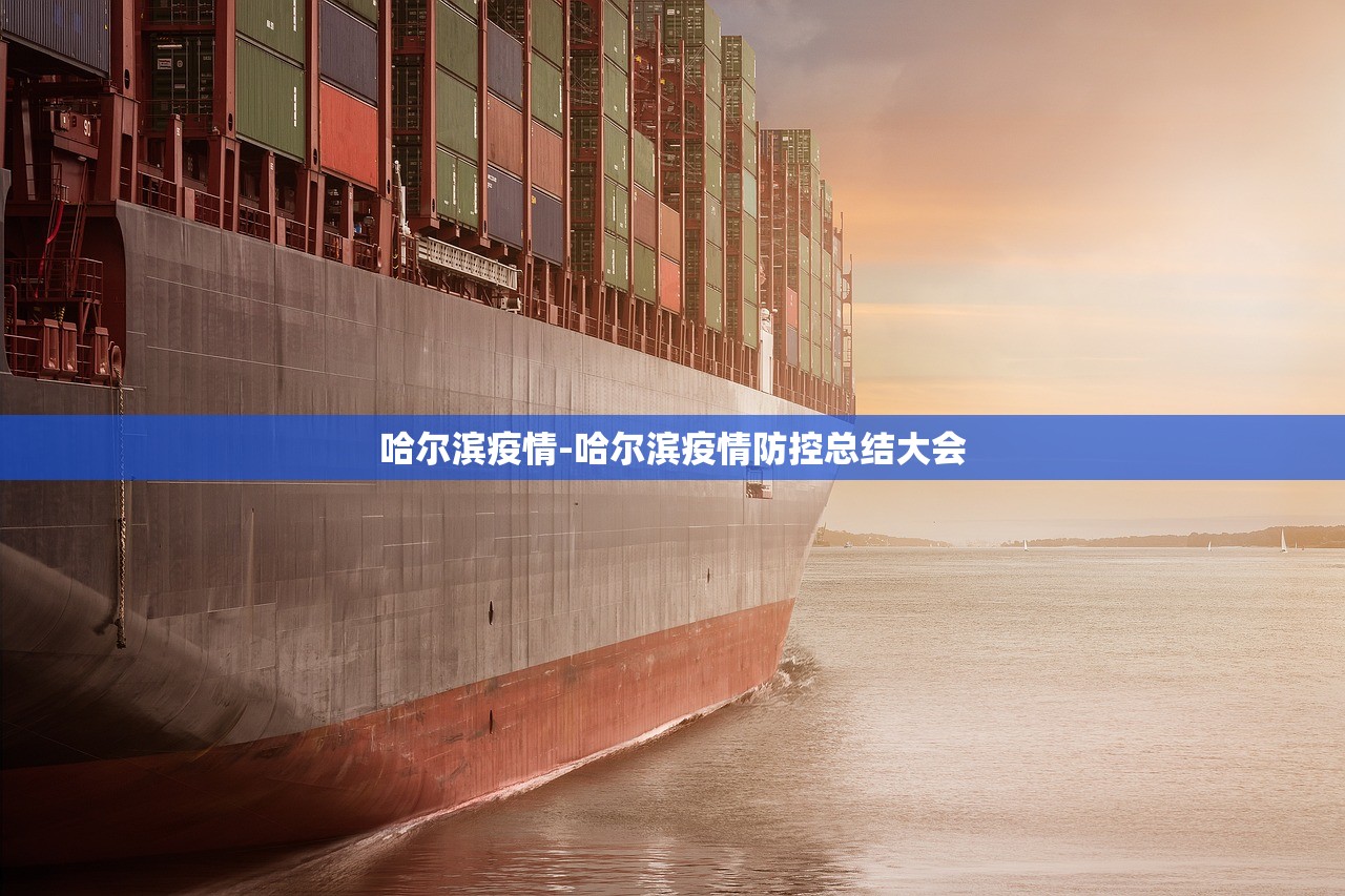 哈尔滨疫情-哈尔滨疫情防控总结大会 哈尔滨疫情-哈尔滨疫情防控总结大会