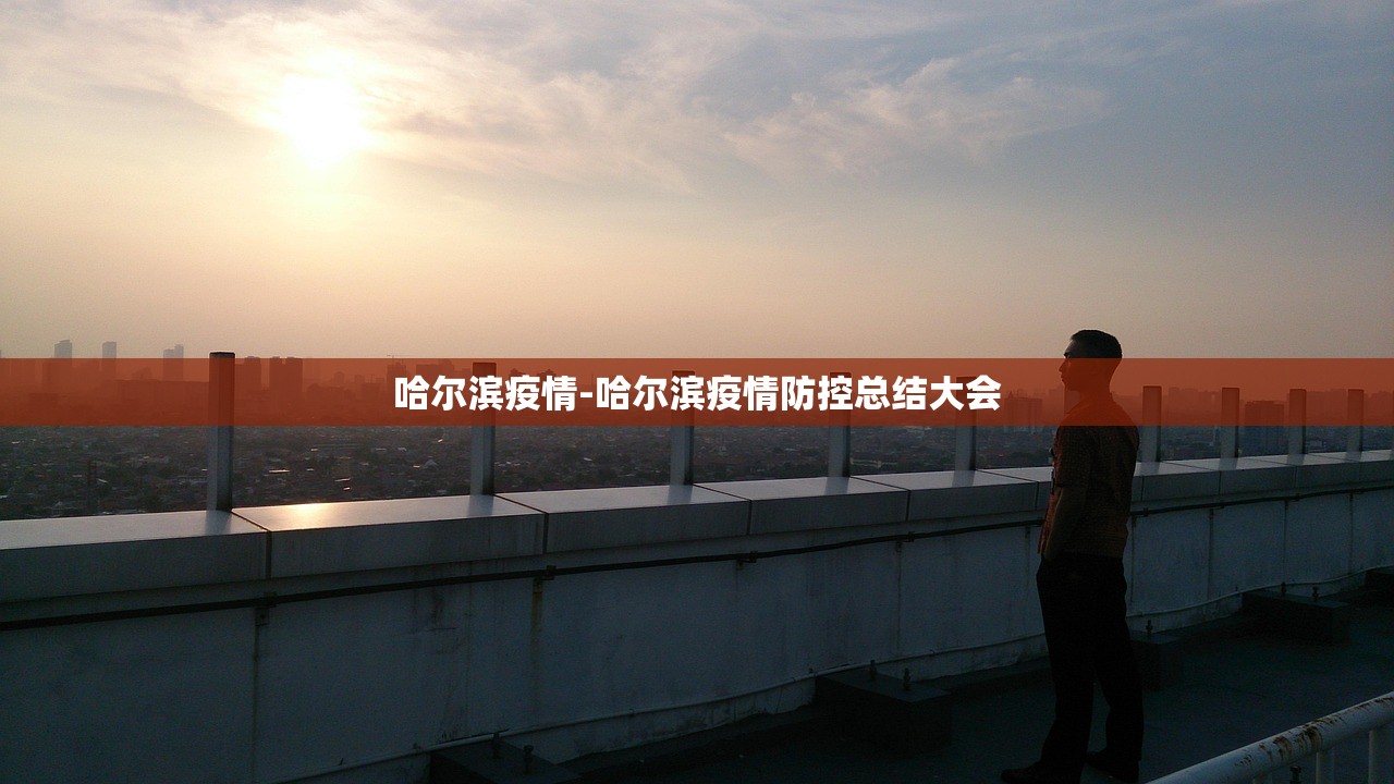 哈尔滨疫情-哈尔滨疫情防控总结大会 哈尔滨疫情-哈尔滨疫情防控总结大会