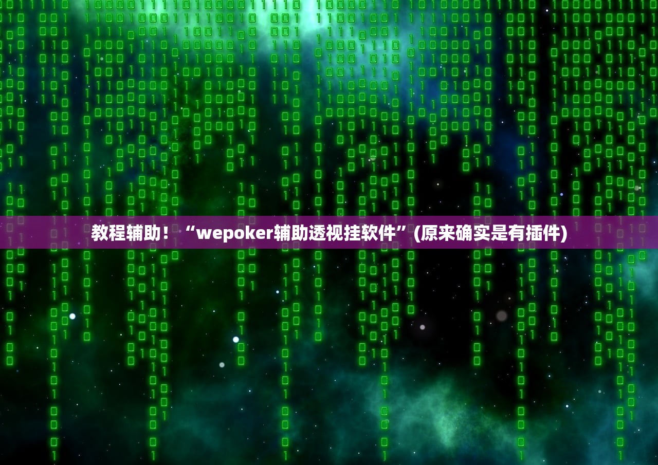 教程辅助！“wepoker辅助透视挂软件	”(原来确实是有插件)