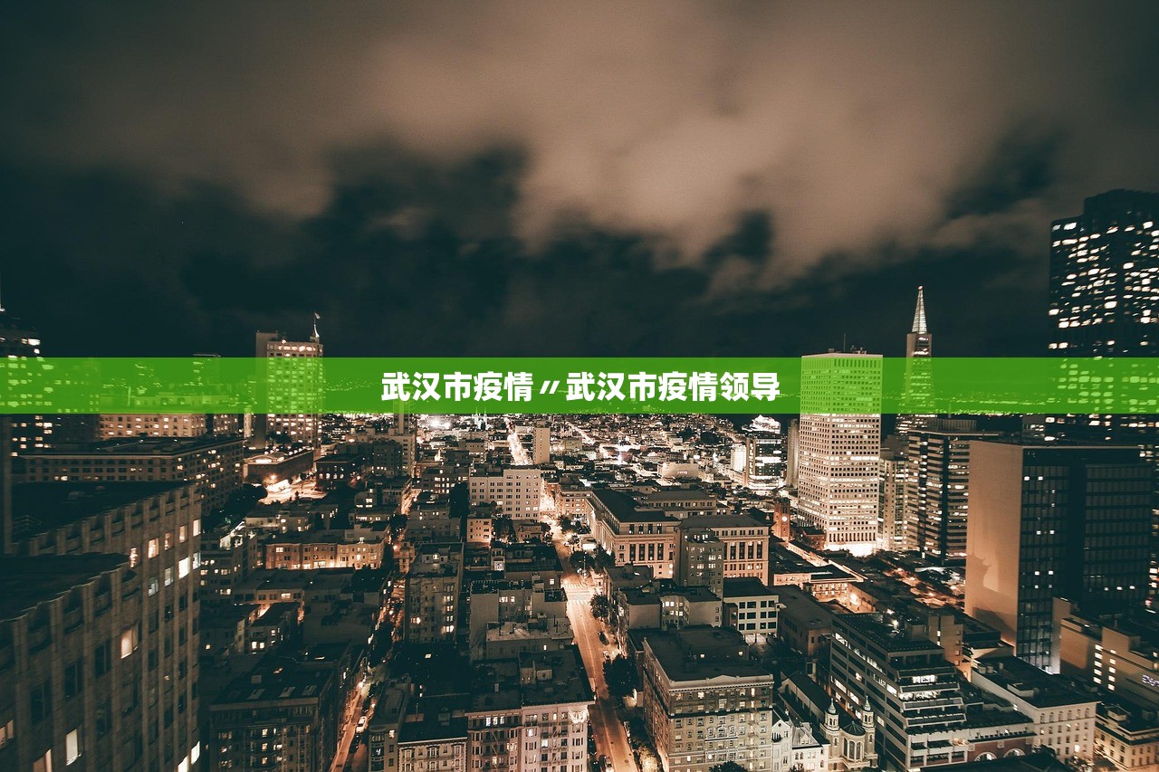 武汉市疫情〃武汉市疫情领导