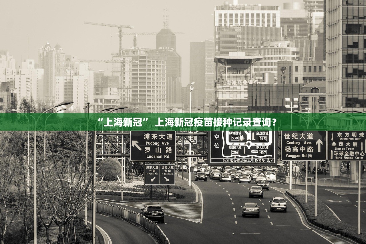 “上海新冠” 上海新冠疫苗接种记录查询？
