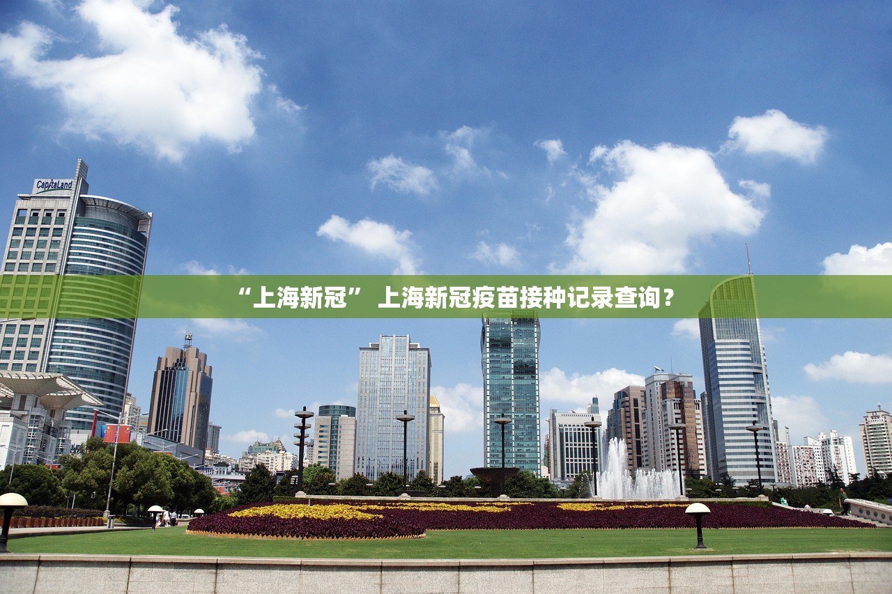 “上海新冠” 上海新冠疫苗接种记录查询？