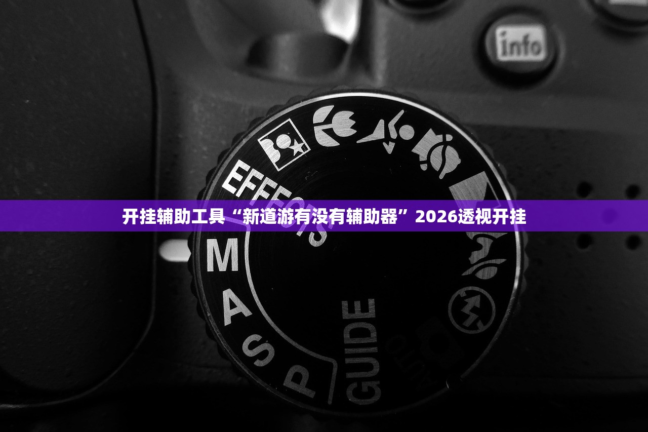 开挂辅助工具“新道游有没有辅助器”2026透视开挂