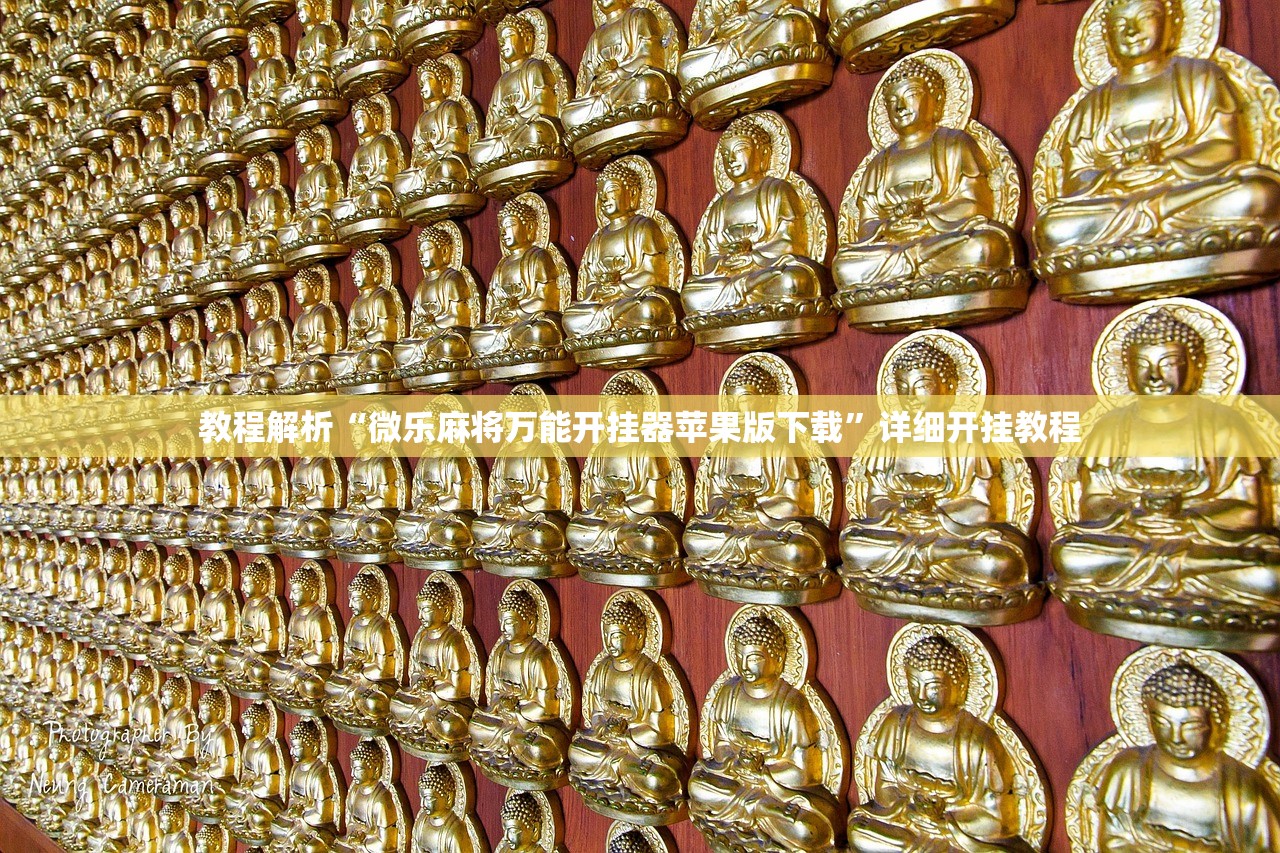 教程解析“微乐麻将万能开挂器苹果版下载”详细开挂教程