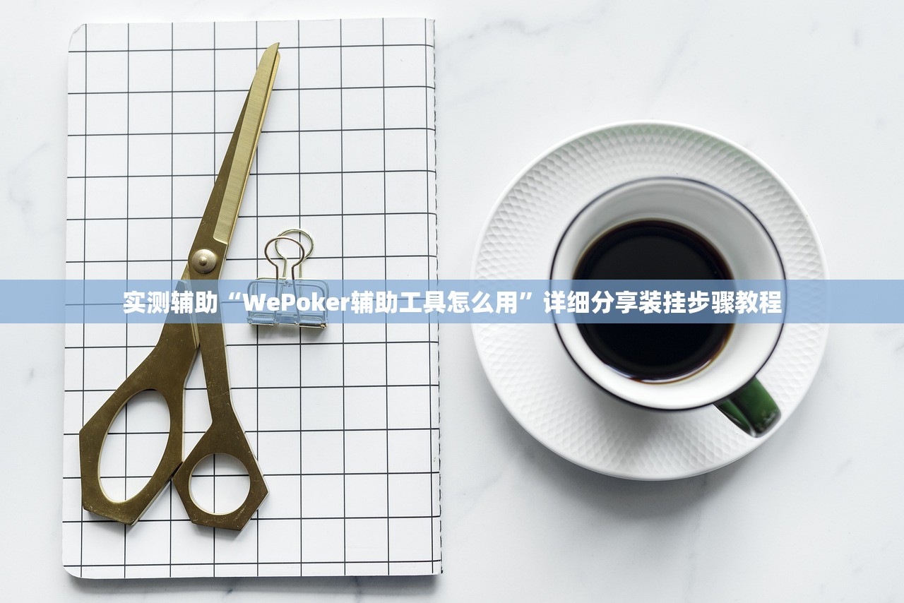 实测辅助“WePoker辅助工具怎么用”详细分享装挂步骤教程