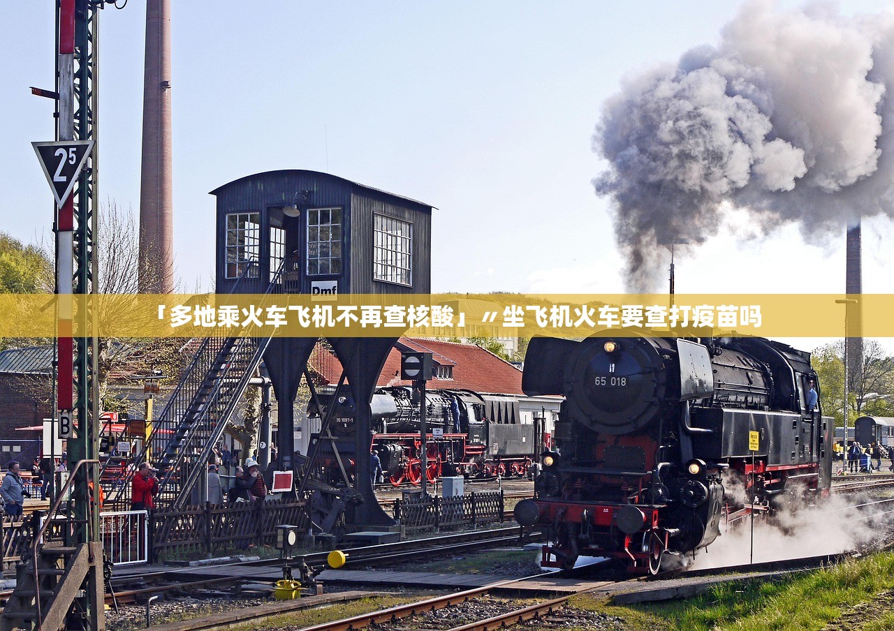 「多地乘火车飞机不再查核酸」〃坐飞机火车要查打疫苗吗 「多地乘火车飞机不再查核酸」〃坐飞机火车要查打疫苗吗
