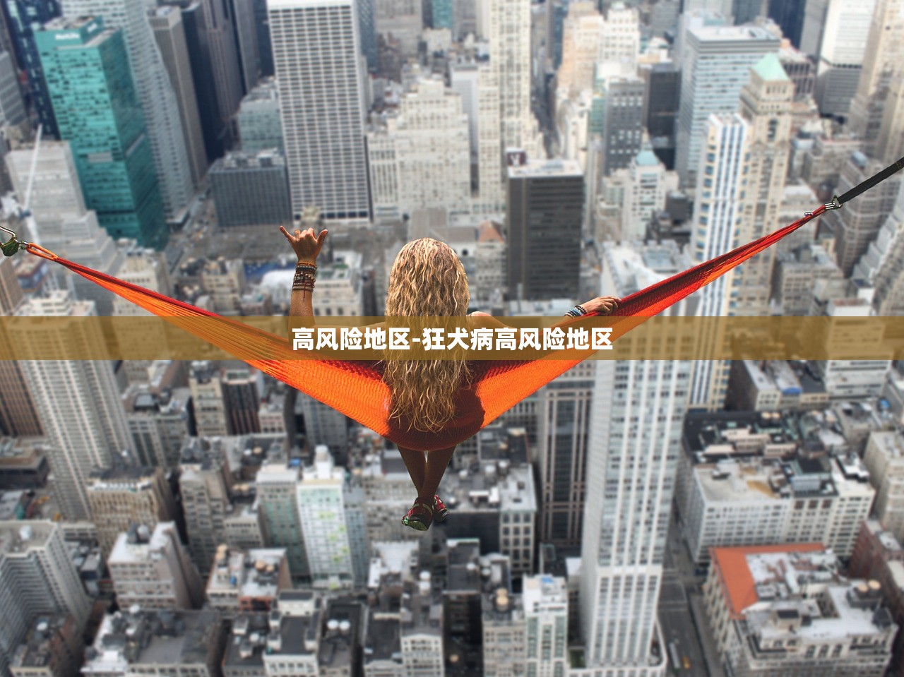 高风险地区-狂犬病高风险地区