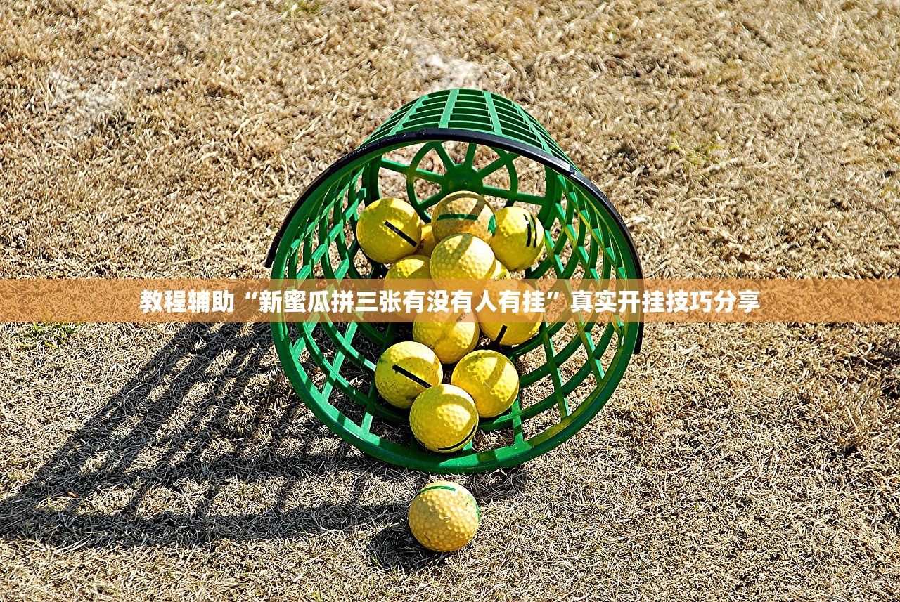 教程辅助“新蜜瓜拼三张有没有人有挂”真实开挂技巧分享