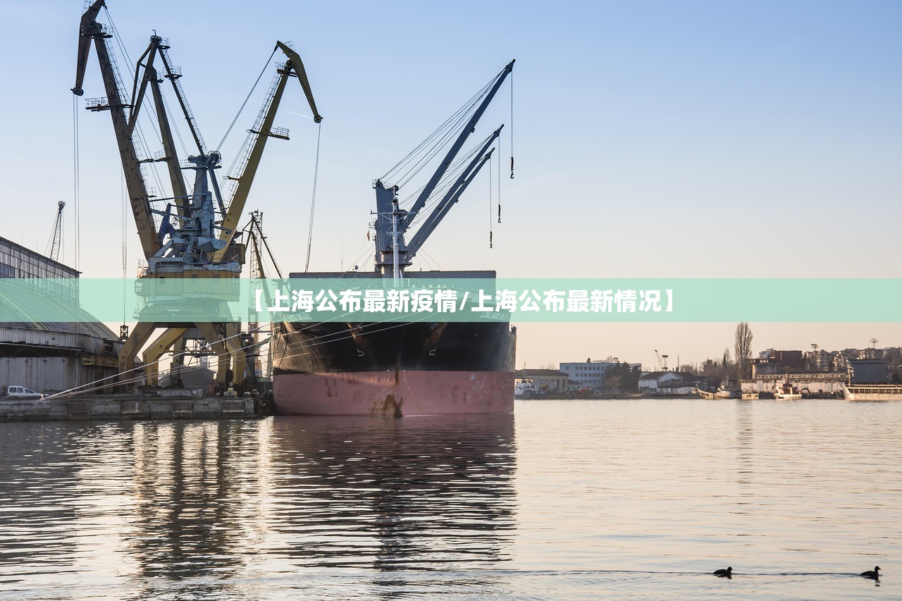 【上海公布最新疫情/上海公布最新情况】