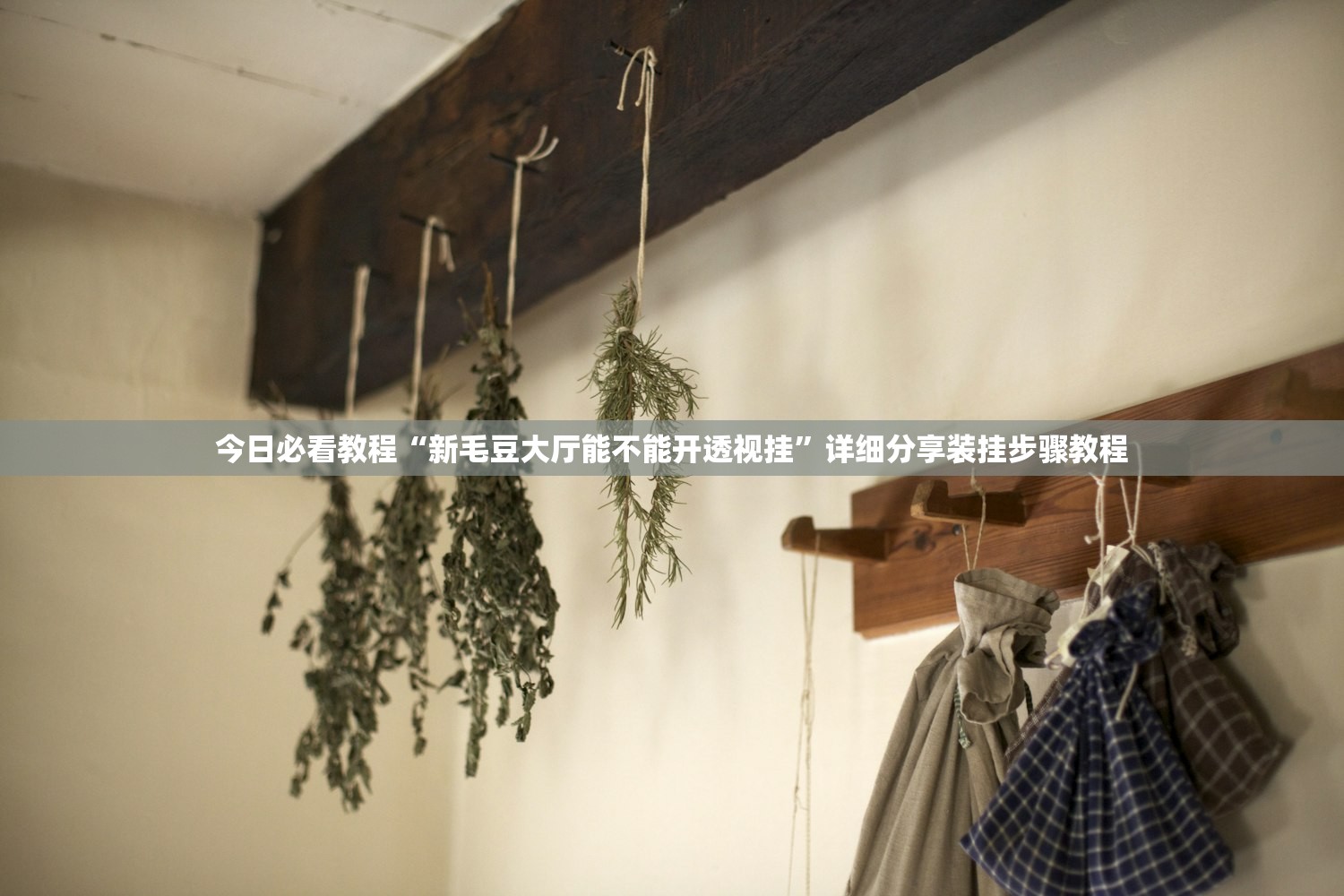 今日必看教程“新毛豆大厅能不能开透视挂”详细分享装挂步骤教程