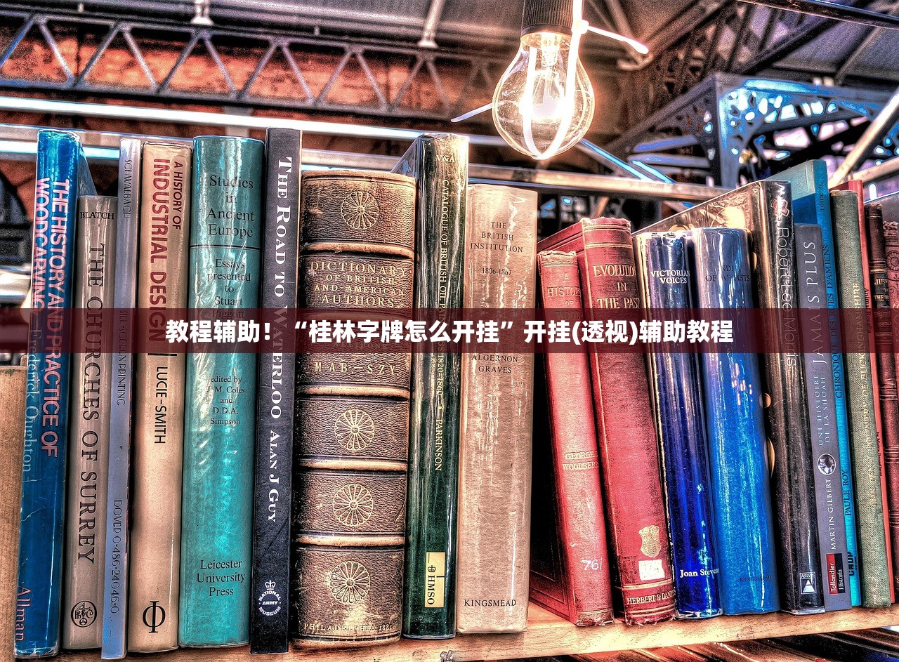 教程辅助！“桂林字牌怎么开挂	”开挂(透视)辅助教程