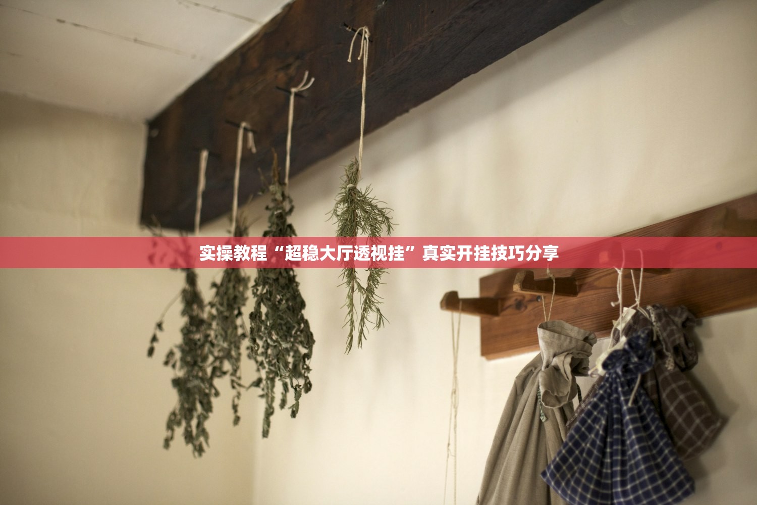 实操教程“超稳大厅透视挂”真实开挂技巧分享