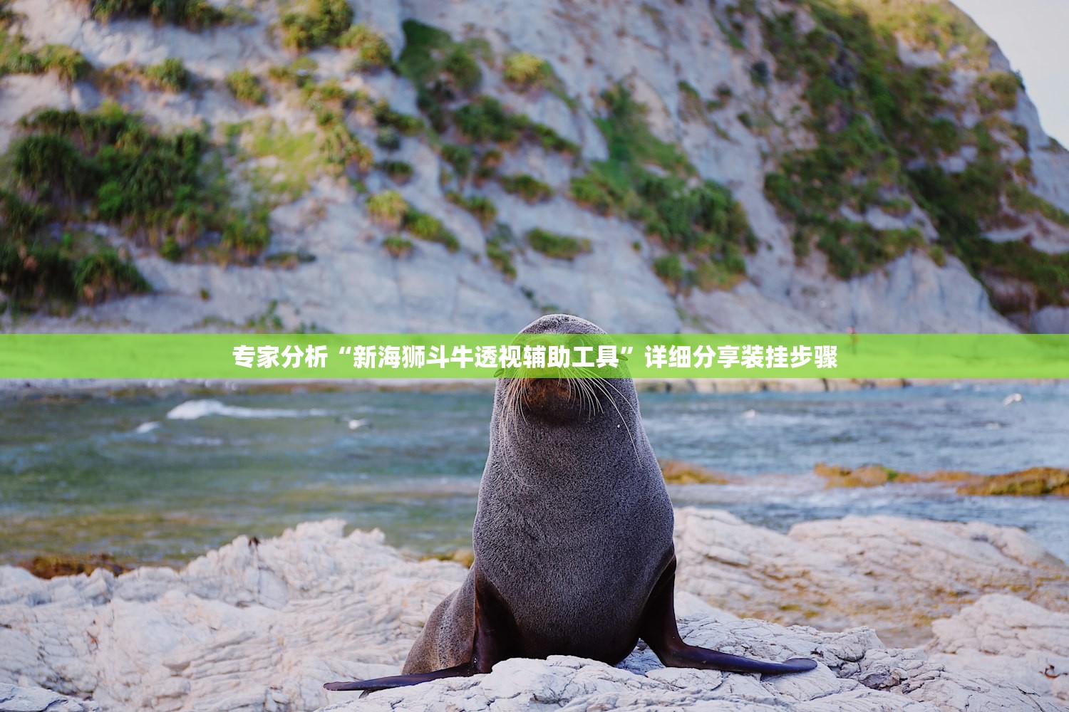 专家分析“新海狮斗牛透视辅助工具”详细分享装挂步骤
