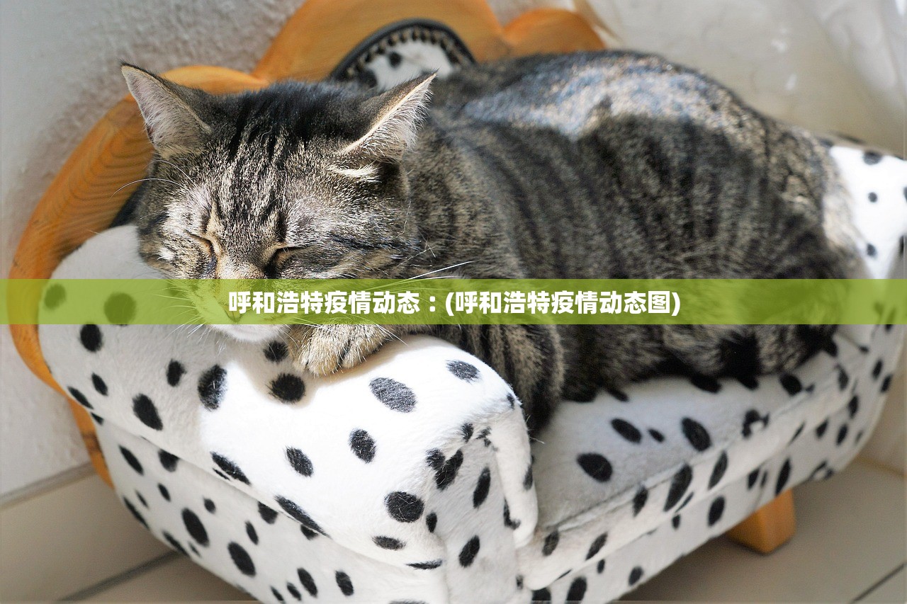呼和浩特疫情动态︰(呼和浩特疫情动态图) 呼和浩特疫情动态︰(呼和浩特疫情动态图)