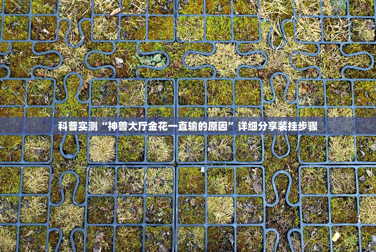科普实测“神兽大厅金花一直输的原因	”详细分享装挂步骤
