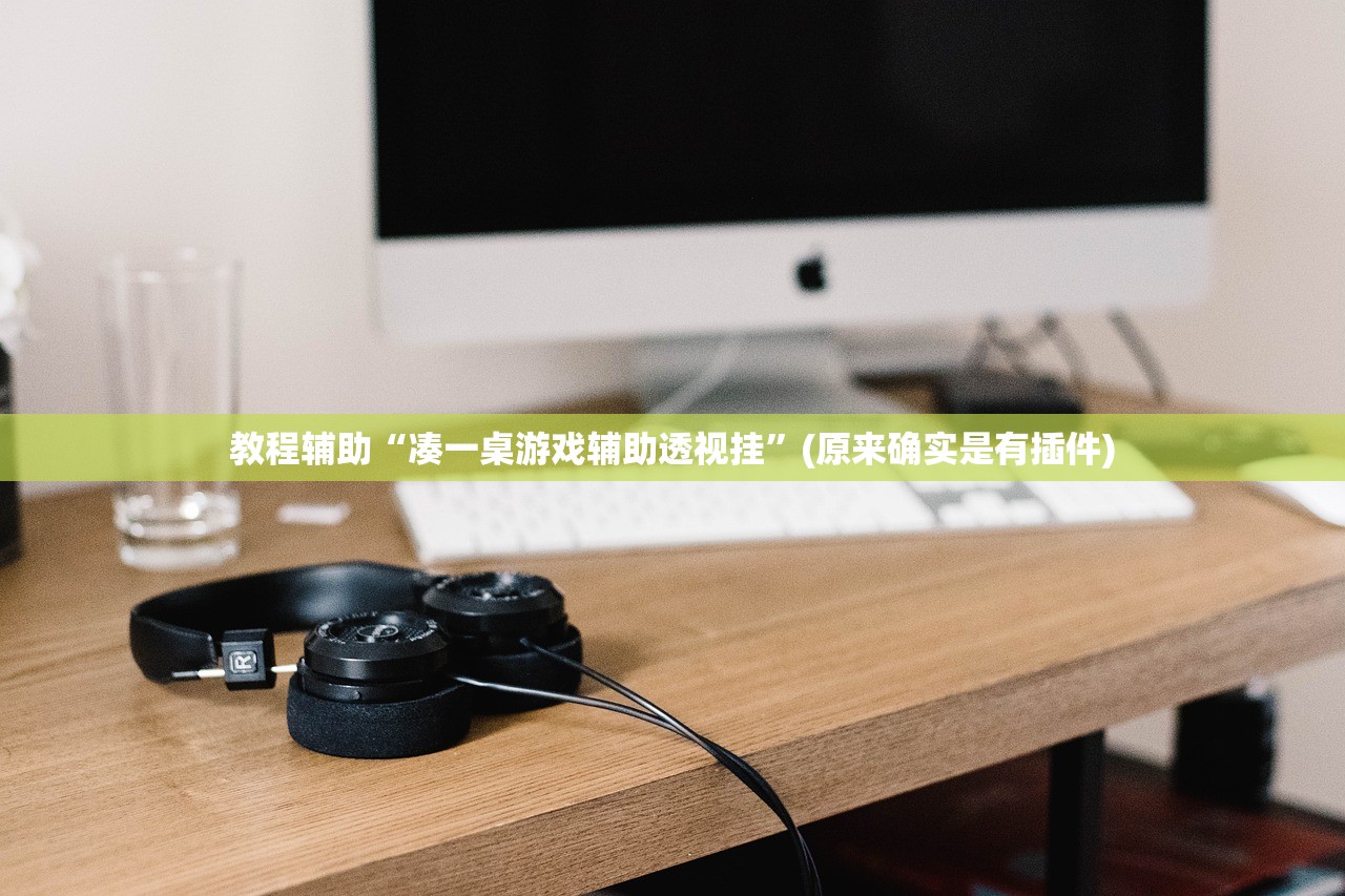 教程辅助“凑一桌游戏辅助透视挂”(原来确实是有插件)