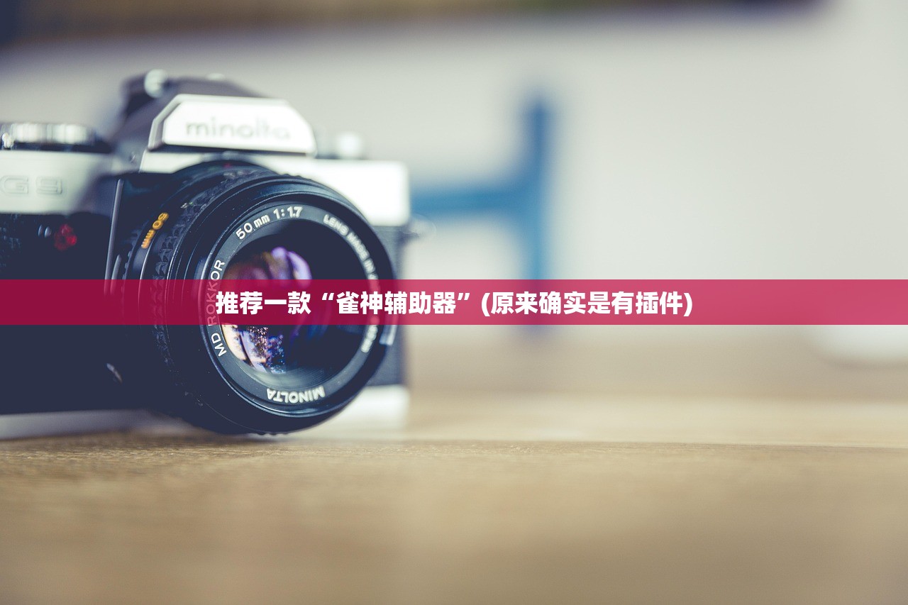 推荐一款“雀神辅助器	”(原来确实是有插件)