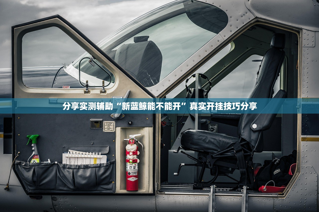 分享实测辅助“新蓝鲸能不能开	”真实开挂技巧分享