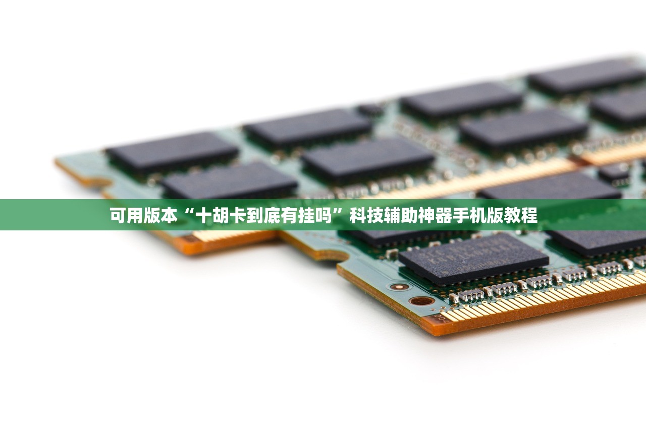 可用版本“十胡卡到底有挂吗”科技辅助神器手机版教程