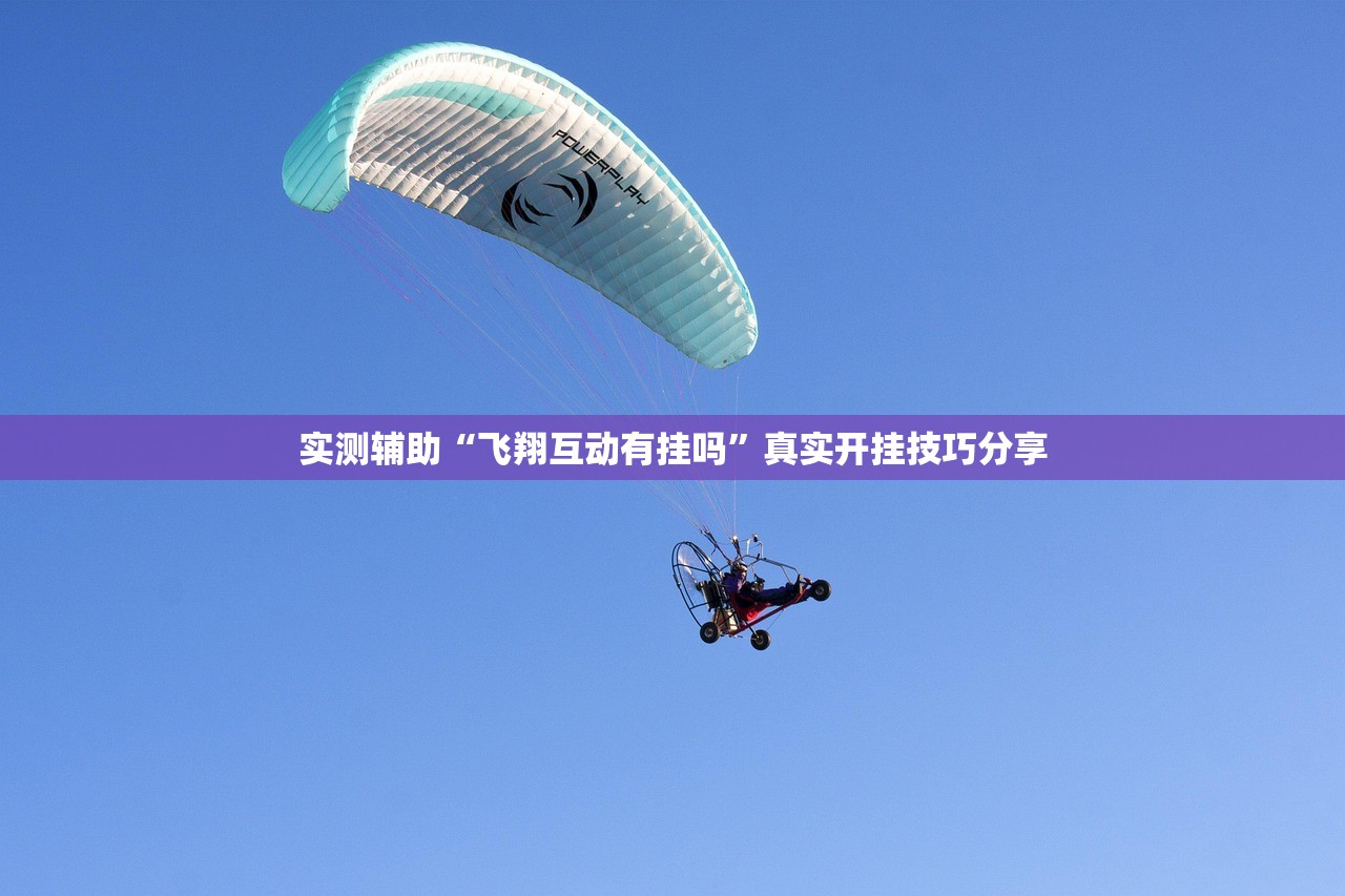 实测辅助“飞翔互动有挂吗	”真实开挂技巧分享
