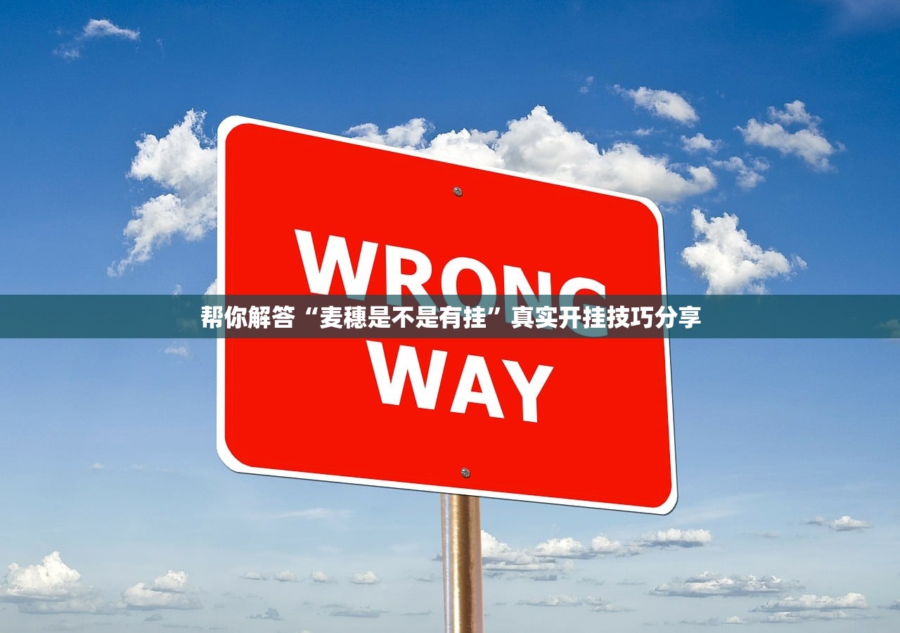 帮你解答“麦穗是不是有挂”真实开挂技巧分享