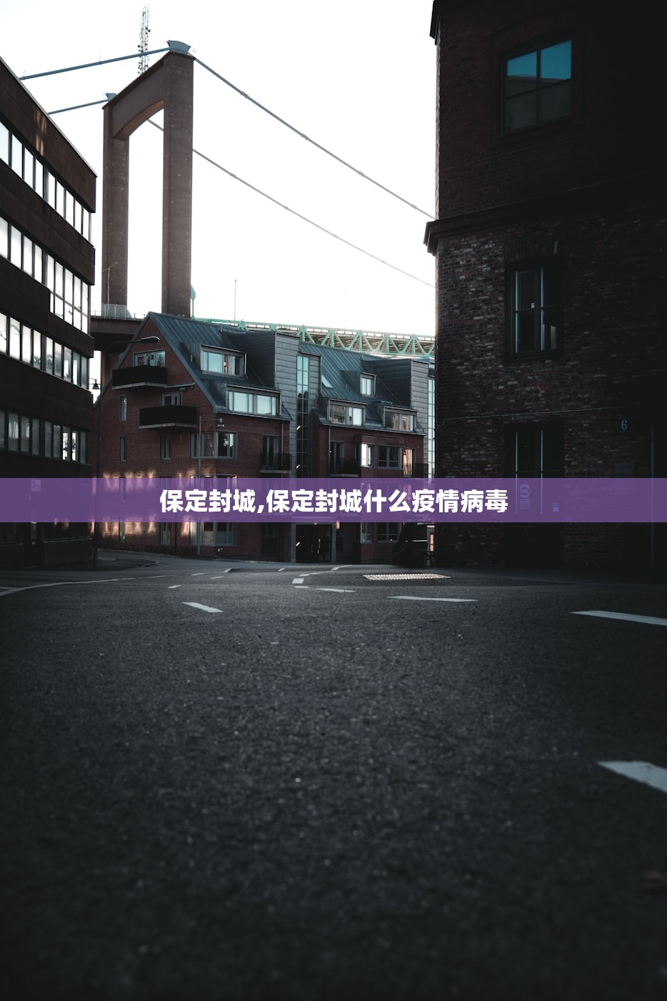 保定封城,保定封城什么疫情病毒