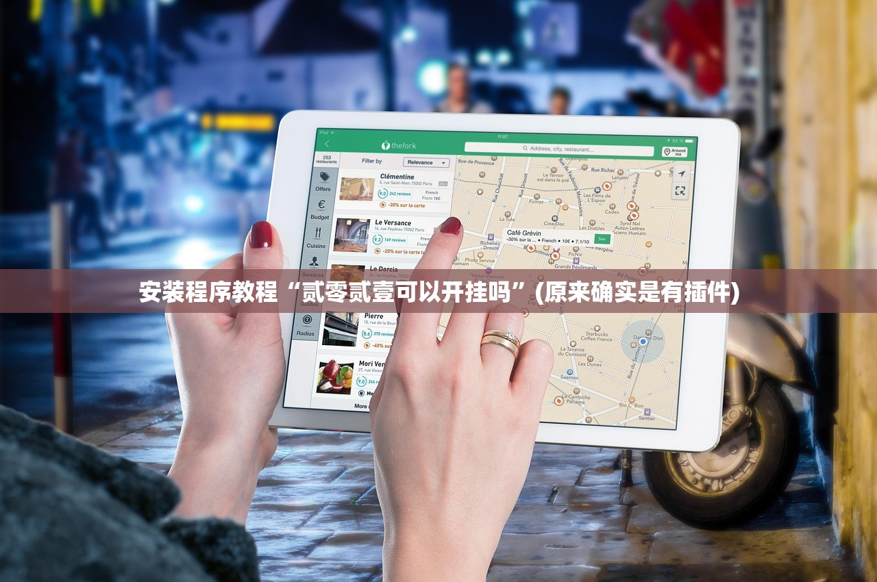 安装程序教程“贰零贰壹可以开挂吗”(原来确实是有插件)
