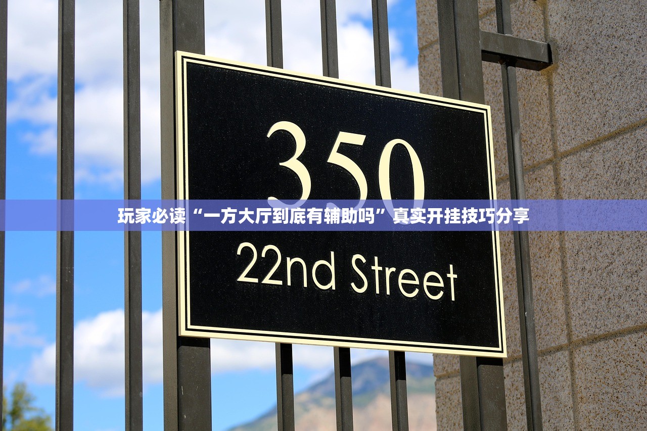 玩家必读“一方大厅到底有辅助吗”真实开挂技巧分享