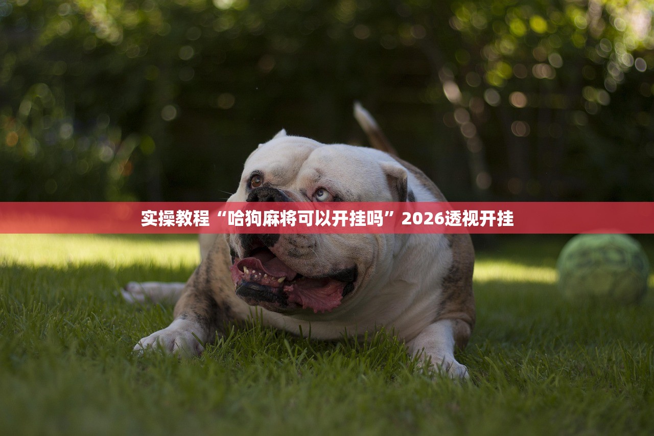 实操教程“哈狗麻将可以开挂吗	”2026透视开挂