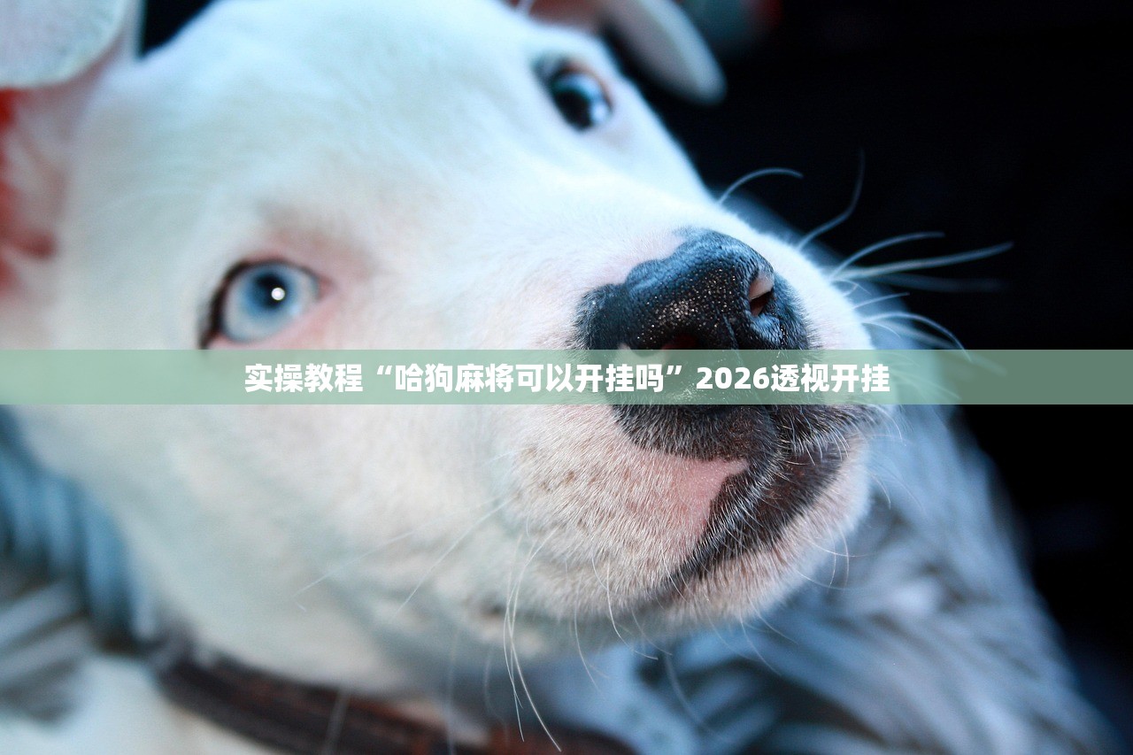 实操教程“哈狗麻将可以开挂吗	”2026透视开挂