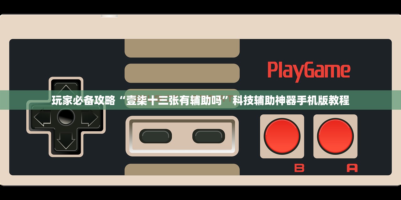玩家必备攻略“壹柒十三张有辅助吗	”科技辅助神器手机版教程