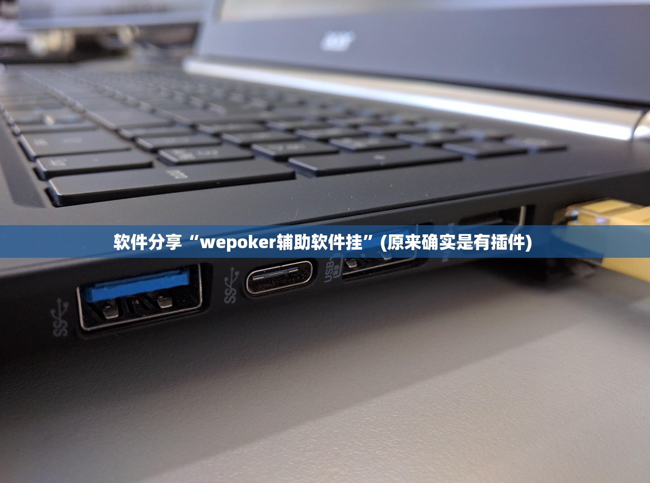 软件分享“wepoker辅助软件挂”(原来确实是有插件) 