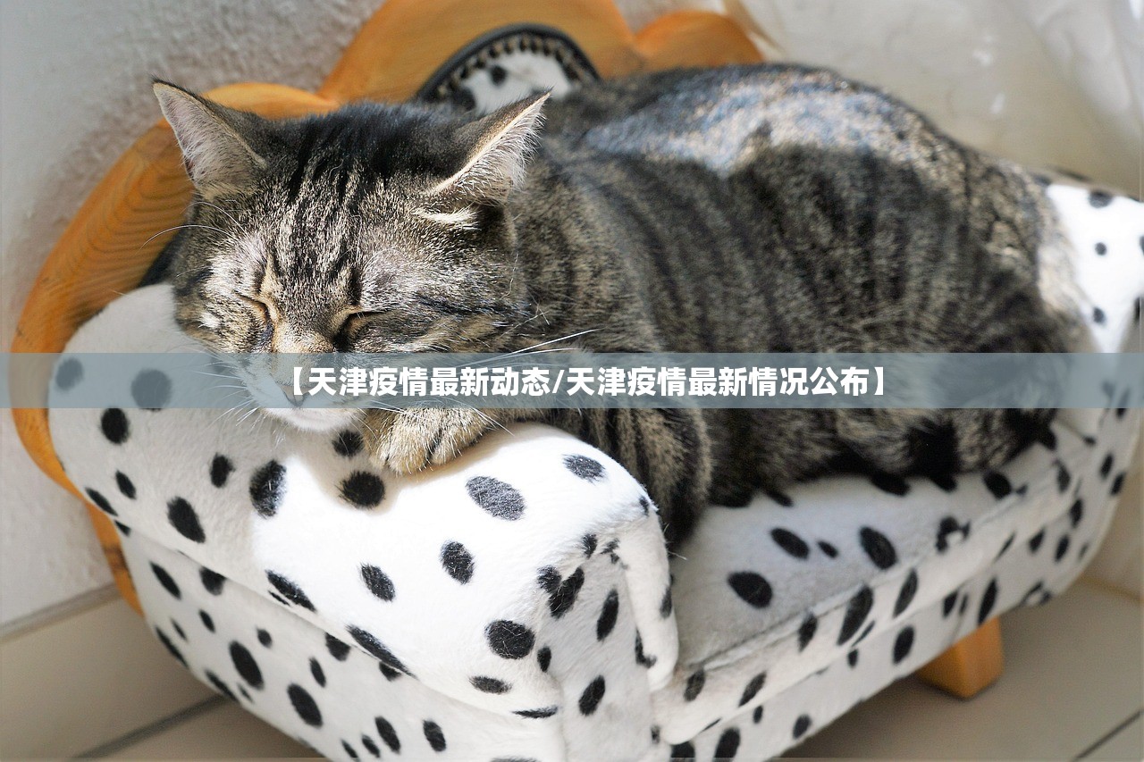 【天津疫情最新动态/天津疫情最新情况公布】