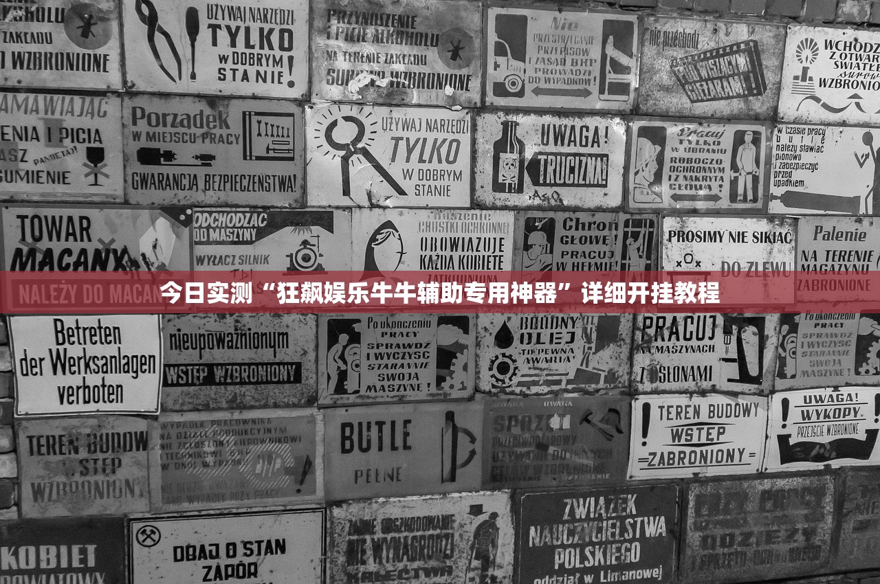 今日实测“狂飙娱乐牛牛辅助专用神器”详细开挂教程