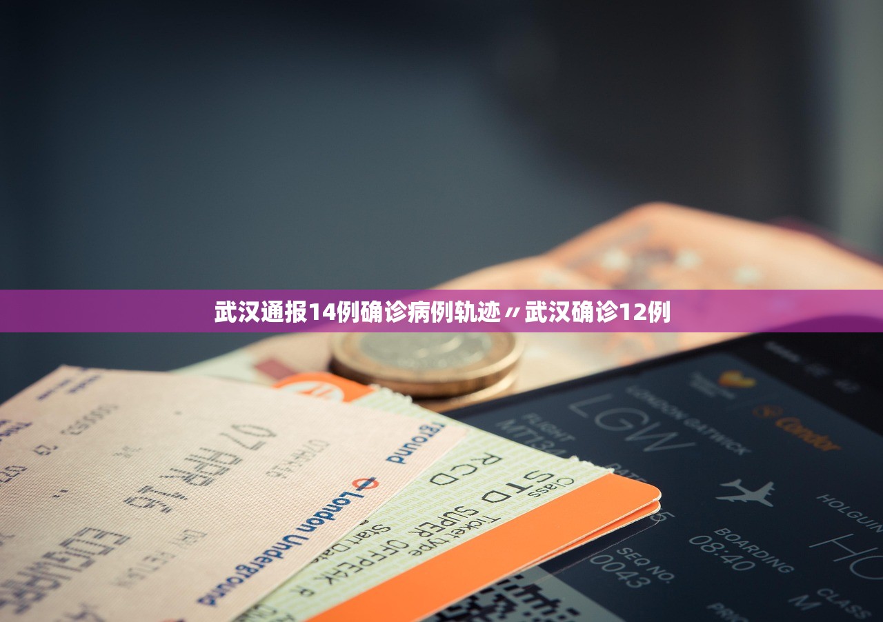 武汉通报14例确诊病例轨迹〃武汉确诊12例