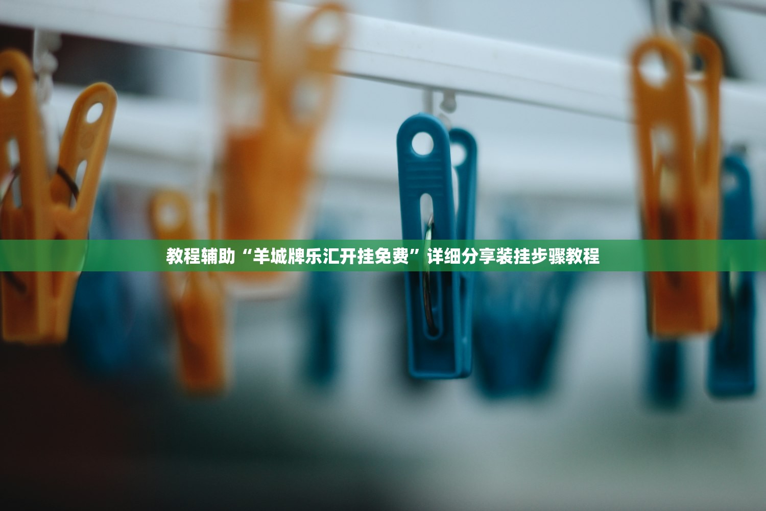教程辅助“羊城牌乐汇开挂免费”详细分享装挂步骤教程