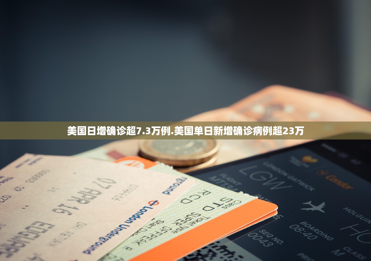 美国日增确诊超7.3万例.美国单日新增确诊病例超23万