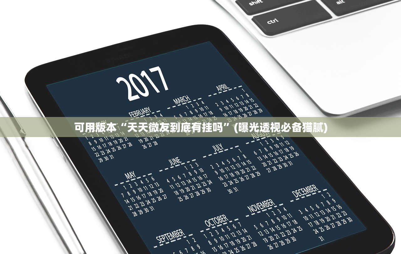 可用版本“天天微友到底有挂吗”(曝光透视必备猫腻)