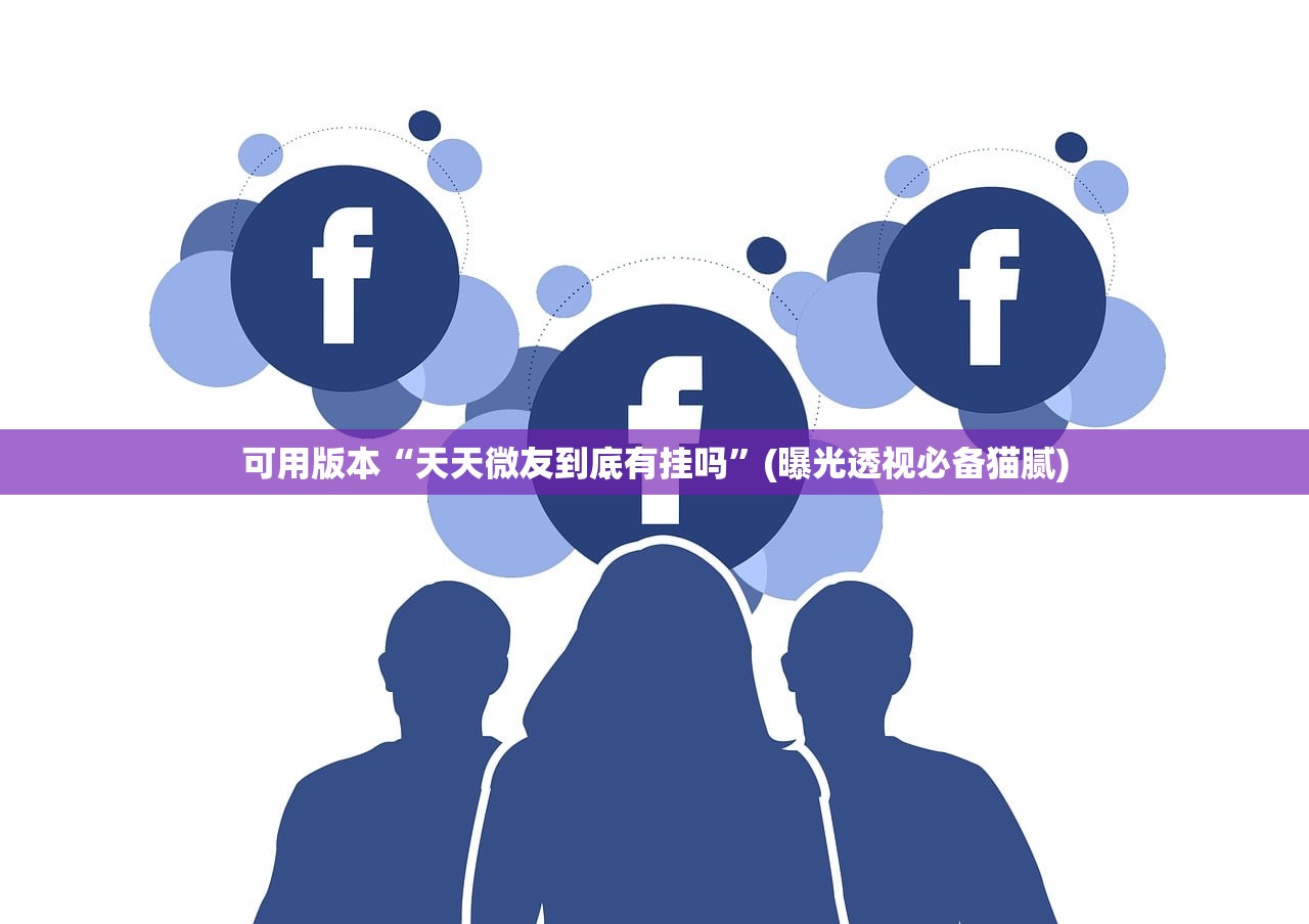 可用版本“天天微友到底有挂吗”(曝光透视必备猫腻)
