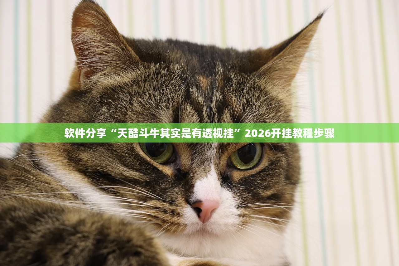 软件分享“天酷斗牛其实是有透视挂”2026开挂教程步骤